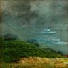 Chatham Fog, 5" x 5" - $450