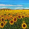Sunflowers in Tuscany,  36" x 38" -   $4500