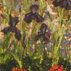 Irises and Poppies,  56" x 32" - $6200