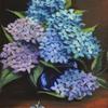 Hydrangeas,  10" x 8" - $600