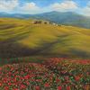 Tuscan Hills with Poppies, 20" x 20" $1200